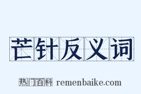 芒针反义词是什么意思的图片